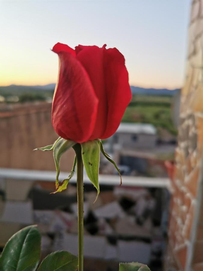 Casa Rural L'Avia Tica Konuk evi Benissuera Dış mekan fotoğraf