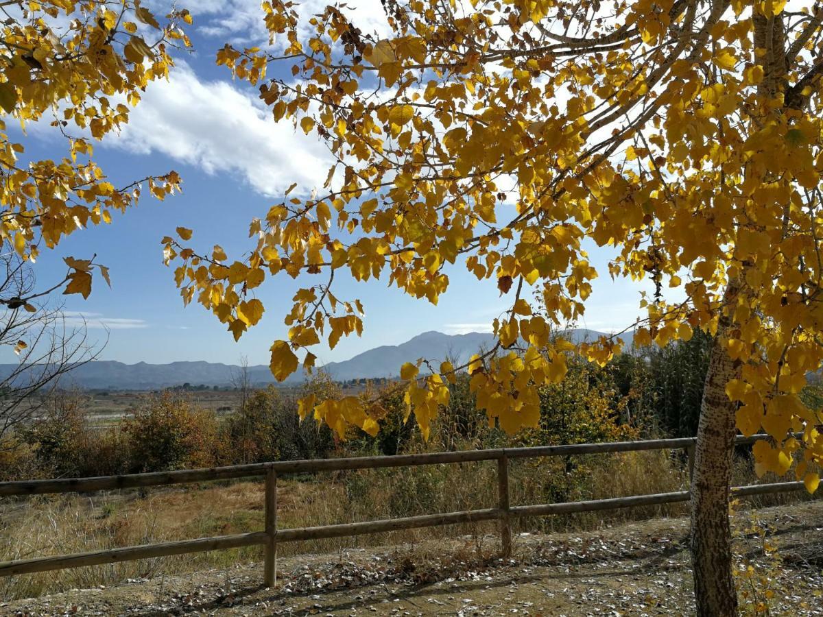 Casa Rural L'Avia Tica Konuk evi Benissuera Dış mekan fotoğraf